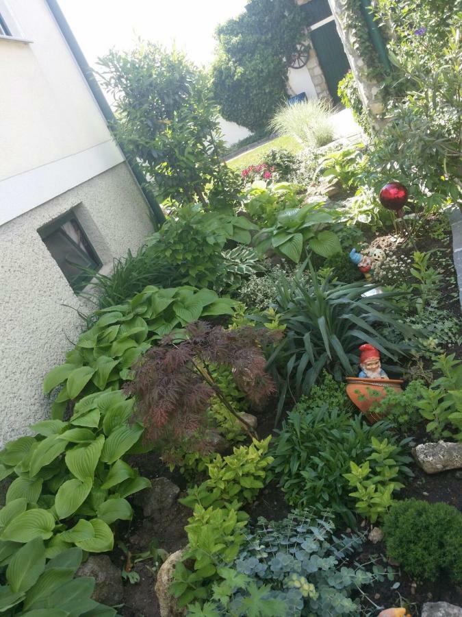 Weingut Apartment Hildegard Gangl 伊尔米茨 外观 照片