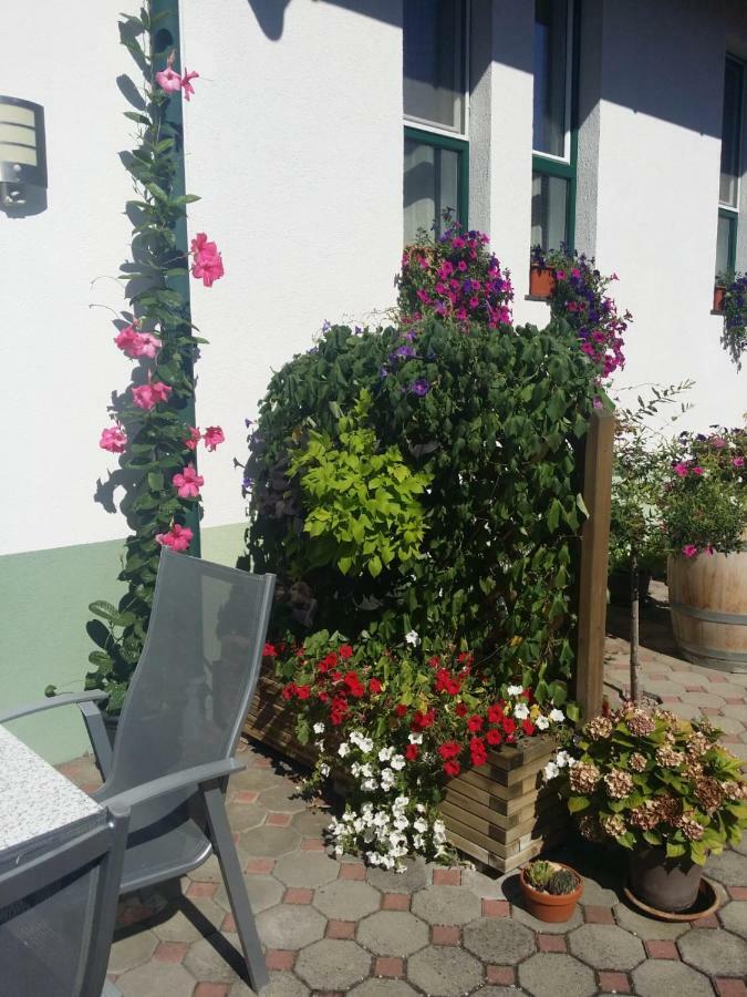 Weingut Apartment Hildegard Gangl 伊尔米茨 外观 照片